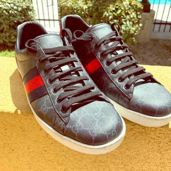 ace gg supreme sneaker black